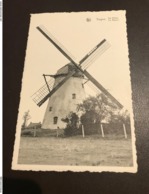 TIEGHEM Tiegem - Anzegem - De Molen - Moulin Mühle Mill - Uitg. Haedens - Anzegem