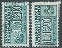 1955-81 ITALIA PACCHI IN CONCESSIONE USATO 120 LIRE DUE SEZIONE - RB38-6 - Colis-concession