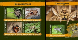 Guinea 2019, Animals, Spiders, 4val In BF +BF - Spiders