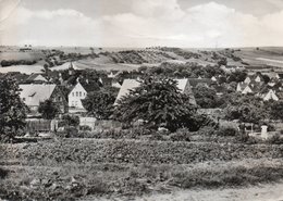 VOLKSTEDT-KR. EISLEBEN-REAL PHOTO - Rudolstadt