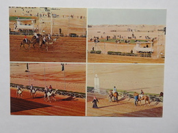 Postcard : SAUDI ARABIA : 4 Views : The Horse And Camel Race Track RIYADH - Arabia Saudita