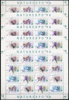 ** 1996 NATUREXPO 5 Db Teljes ív (12.500) - Autres & Non Classés