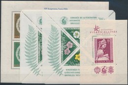 ** 1958-1963 9 Különféle Blokk és Kisív (33.300) - Otros & Sin Clasificación