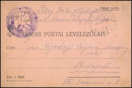 1914 Tábori Posta Levelezőlap Negatív Alakulat Cenzúra Bélyegzéssel + 'TP 41' - Otros & Sin Clasificación