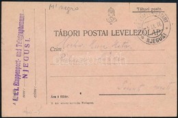 1916 Tábori Posta Levelezőlap / Field Postcard 'K.u.k. Etappenpost- Und Telegraphenamt' + 'EP NJEGUSI B' - Otros & Sin Clasificación