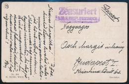 1915 Képeslap Haditengerészeti Postával  'Zensuriert S.M.S. ERZH. FRIEDRICH' - Otros & Sin Clasificación