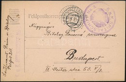 1915 Tábori Posta Levelezőlap 'K.u.k. SPITALSCHIFF No.3.' + 'HP 300' - Autres & Non Classés