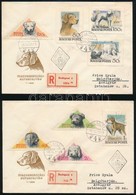 1956 Kutyák Sor 2 Db Ajánlott FDC-n - Otros & Sin Clasificación