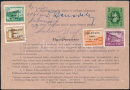 1955 Meghatalmazási Igazolvány Az 1956-1960 Közötti évekre 5 Klf Érvényes Bélyeggel - Otros & Sin Clasificación