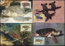 1983 WWF: Teknősök Sor 4 Db CM-en Mi 541-544 - Autres & Non Classés