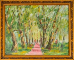 Barkóczi Gyula (1912-2016): Zsennyei Park. Olaj, Farost, Jelzett, üvegezett Keretben, 40×50 Cm - Autres & Non Classés