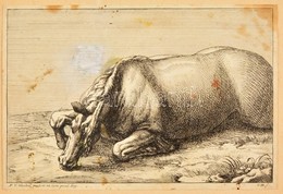 Adam-François Van Der Meulen (1632-1690): Fekvő Ló. Rézmetszet. Jelzett A Dúcon. Javításnyommal / Laying Horse Engraving - Estampas & Grabados