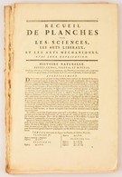 Diderot, Denis U. D'Alembert,: Recuil De Planches Sur Les Sciences, Les Arts Liberaux, Et Les Arts Méchaniques. Paris, 1 - Estampas & Grabados