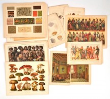 Cca  1900 Kb 40 Db Színes és Egyszínű Litografált Tábla Lexikonokból - Estampas & Grabados