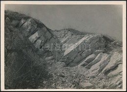 Cca 1934 Kinszki Imre (1901-1945) Budapesti Fotóművész Hagyatékából, Pecséttel Jelzett és Aláírt Vintage Fotó, A Szerző  - Otros & Sin Clasificación