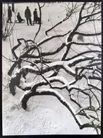 Angelo (1894-1974): Winter, Pecséttel Jelzett, Feliratozott Fotó, 39×29 Cm - Otros & Sin Clasificación