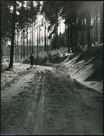 Cca 1960 Árokay József: Téli Kirándulás A Sátoros-hegyekben, Pecséttel Jelzett, Feliratozott, 24x18 Cm +  	
Cca 1950 Áro - Sonstige & Ohne Zuordnung