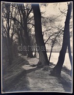 Cca 1940 Danassy Károly (1904-1996) Budapesti Fotóművész Hagyatékából, Aláírt, Vintage Fotóművészeti Alkotás, 29,5x23,3  - Sonstige & Ohne Zuordnung