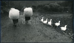 Cca 1975 Libatollal Töltött Zsákokat Vivő Asszonyok Erdélyben, Korniss Péter Fotóművész Hátoldalon Ceruzával Aláírt Fotó - Sonstige & Ohne Zuordnung