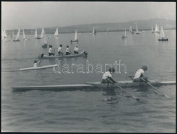 Cca 1965 Velencei-tó, Sinka Antal - A Velencei Agrokomplex Fotósának - Képriportja, 8 Db Vintage Negatív, 6x6 Cm + Cca 1 - Otros & Sin Clasificación