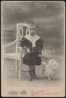 Cca 1890 Gyermek, Kis Ostorral, Műkutyával. Strelisky Fotó 11x16 Cm - Sonstige & Ohne Zuordnung