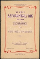1904 Az Idült Szívbántalmak Kezelése, Az Erdélyi Buziás Fürdő és Gyógyjavallatai, Sok Képpel A Fürdőről, írta Dr. Mahler - Sin Clasificación