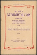 1904 Az Idült Szívbántalmak Kezelése, Az Erdélyi Buziás Fürdő és Gyógyjavallatai, Sok Képpel A Fürdőről, írta Dr. Mahler - Non Classés