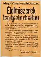 1919 Tanácsköztársasági Hirdetmény Kézipoggyászban Való élelmiszer Szállításról 49x64 Cm - Sin Clasificación