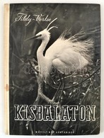 Ifj. Tildy Zoltán: Kisbalaton. Vertse Albert Bevezetőjével. Ifj. Tildy Zoltán Fotóival. Bp.,1953,Művelt Nép, 92+3 P.
Els - Sin Clasificación