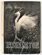 Ifj. Tildy Zoltán: Kisbalaton. Vertse Albert Bevezetőjével. Ifj. Tildy Zoltán Fotóival. Bp.,1953,Művelt Nép, 92+3 P.
Els - Non Classés