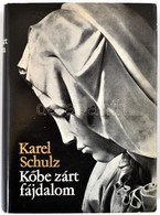 Karel Schulz: Kőbe Zárt Fájdalom. Michelangelo Buonarroti életregénye. Bp.,1973, Corvina. Fekete-fehér Fotókkal Illusztr - Ohne Zuordnung