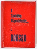 A Szocialista Közgondolkodás, Közerkölcs és Magatartás Borsodban. 1973.  MInikönyv Sorszámozott 8/50 Pld! - Sin Clasificación