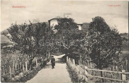 T2 1919 Badacsony, Fack Nyaraló, Villa. Keresztény Fogyasztási Szövetkezet Kiadása - Sin Clasificación