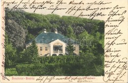 T2 1905 Beszterce, Bistritz, Bistrita; Villa Franca Am Schieferberg. Verlag Stolzenberg. Nach Photographie Von V. Schnei - Non Classés