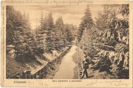 T3 1908 Előpatak, Valcele; Alsó Parkrész A Patakkal / Park And Creek (szakadás / Tear) - Sin Clasificación