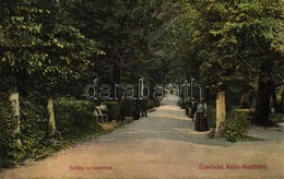 T2/T3 Félixfürdő, Baile Felix; Sétány A Vasúthoz / Promenade To The Railway Station  (EK) - Ohne Zuordnung