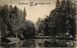 T2/T3 1914 Nagybánya, Baia Mare; Széchenyi Liget. Kovács Endre Kiadása / Park (EK) - Ohne Zuordnung