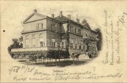 T2/T3 1905 Soborsin, Savarsin; Hunyadi Gróf Kastély / Castelul Contele Hunyady / Castle - Ohne Zuordnung