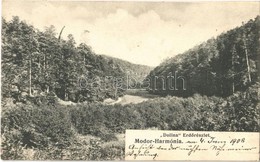 T2/T3 1908 Modor-Harmónia, Modra; Dolina Erdő. Levius S.P. Kiadása / Forest  (fl) - Sin Clasificación