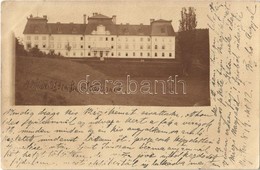 T2/T3 1899 Nyitra-Szent-János, Felsőelefánt, Horné Lefantovce; Báró Edelsheim-Gyulay Lipót Kastélya / Castle. Photo (EK) - Sin Clasificación