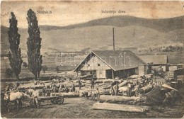 ** T3 Stajnica (Brinje), Industrija Drva / Fűrésztelep, Fatelep. A. Gomercic Fotograf / Sawmill, Wood Industry (fl) - Otros & Sin Clasificación