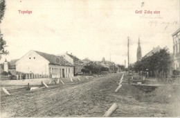 T2 1909 Bácstopolya, Topolya, Backa Topola; Gróf Zichy Utca. Riesz Béla Kiadása / Street - Ohne Zuordnung