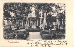 T2 1904 Fehértemplom, Ung. Weisskirchen, Bela Crkva; Schiess-Stätte / Lövölde. Hepke Kiadása / Shooting Hall - Non Classés