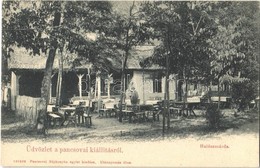 ** T1 Pancsova, Pancevo; Halászcsárda. Pancsovai Népkonyha Egylet Kiadása / Restaurant Garden - Ohne Zuordnung