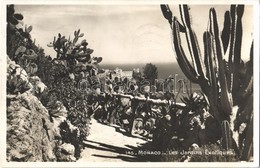 T1/T2 1936 Monaco, Les Jardins Exotiques / Exotic Gardens, Photo - Sonstige & Ohne Zuordnung