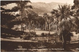 ** T1/T2 Monte-Carlo, Les Jardins Du Casino, La Petite Afrique / Gardens Of The Casino, 'Little Africa', Photo - Altri & Non Classificati