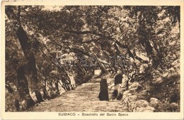 T2/T3 1950 Subiaco, Boschetto Del Sacro Speco / Monastery, Grove (EK) - Otros & Sin Clasificación