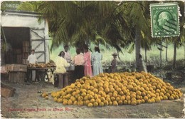 T2/T3 Puerto Rico, Packing Grape Fruit In Porto Rico, TCV Card (EK) - Ohne Zuordnung