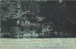 T2 1906 Sinaia, Castelul Foisor / Castle - Otros & Sin Clasificación