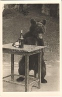 ** T1 Búsul A Mackó, Kiadja Budapest Székesfőváros Állat- és Növénykertje / Bear With A Bottle And A Call Bell, Humour,  - Ohne Zuordnung